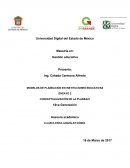 MODELOS DE PLANEACIÓN EN INSTITUCIONES EDUCATIVAS ENSAYO 2