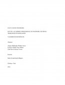 TRABAJO DE INVESTIGACIÓN YACIMIENTOS DETRÍTICOS