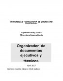 Organizador de documentos ejecutivos y técnicos