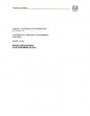 Preguntas para comentar ¿De qué maneras los sistemas de información afectan el ambiente?