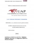 EL TEMA : PLANIFICACION FINANCIERA DE GRANJAS DAMIAN