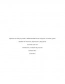 Impuesto a la renta por periodo y utilidad calculada en base a Ingresos, inversiones, gastos, calendario de inversiones, depreciación y flujo parcial