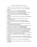 Ejercicios de estrategia-Dirección Empresarial