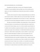 REFLEXION BUSQUEDA DE LA PAZ PEDURABLE