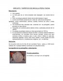 Circuito turístico de miculla PERU-TACNA