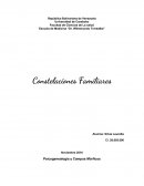 Constelaciones familiares. Psicogenealogia y Campos Mórficos