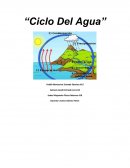 Plantamos nuestra planta en lo parte de arriba que fue la tierra fresca, debajo de ella había arena y piedras en la parte baja, colocamos un recipiente con agua en un lado de la planta. Cerramos el bote y lo colocamos en el patio a lado de otras plantas 