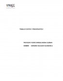 TRABAJO COSTOS Y PRESUPUESTOS I