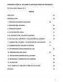 Introduccion al acuario plantado
