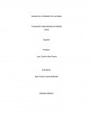 Analisis del libro la rebelion de las ratas de Fernando Soto Aparicio