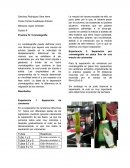 Equipo 8 Practica IV: Cromatografía