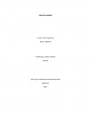 Todas las relaciones que se establecen a raíz del trabajo humano y se le conocen como derecho laboral