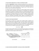 Cuestionario En qué consiste la aglomeracion y el curado en una lixiviacion en pilas?