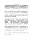 La diferencia entre la moral de los actos y de los actos humanos