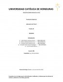 El cambio en la densidad de la sustancia