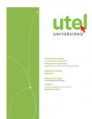 ¿Es proporcional el tiempo que dedicas a cada actividad, con la prioridad que la misma tiene para ti?