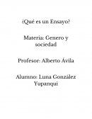 Un ensayo para algunos autores corresponde a una reflexión sobre algún tema la mayoría con tintes científicos capaces de ser corroboradas por una justificación en base a citas bibliográficas de autores varios