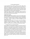 Cultura organizacional. Análisis empresa Cascades