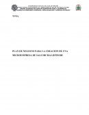 PLAN DE NEGOCIO PARA LA CREACION DE UNA MICROEMPRESA DE SALCHICHAS JIPINEBU