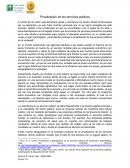 LA PRIVATIZACION DE LOS SERVIVIOS PUBLICOS