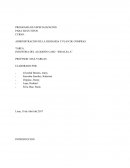 INDUSTRIA DEL ALGODÓN CASO: “INDALSA A”