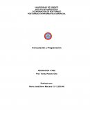 NÚCLEO DE ANZOÁTEGUI COORDINACIÓN DE POSTGRADO POSTGRADO EN INFORMÁTICA GERENCIAL