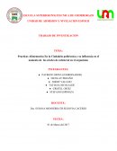 Practicas Alimentarias En la Ciudadela politécnica y su influencia en el aumento de los niveles de colesterol en el organismo