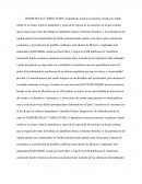 DIFERENCIAS Y SIMILITUDES