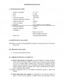 INFORME PSICOLOGICO DE PERSONA BAJO LA LLUVIA