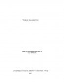 TRABAJO COLABORATIVO CARLOS GIOVANNI HURTADO G Cod: 79764233 UNIVERSIDAD NACIONAL ABIERTA Y A DISTANCIA - UNAD