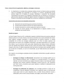 Tema 1. Desarrollo de la organización, objetivos, estrategias y estructura