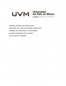 SISTEMAS DE PRODUCCION l