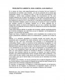 PROBLEMÁTICA AMBIENTAL SUBA: HUMEDAL JUAN AMARILLO