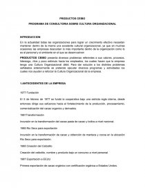 PROGRAMA DE CONSULTORIA SOBRE CULTURA ORGANIZACIONAL. Página 1