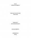Comunicacion Ambiental