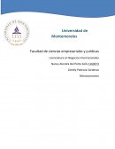 Devocional capitulo 29