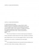 Marco metodologíco de una empresa