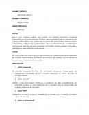 Se decidió conservar la línea de cervecería artesanal, manteniendo los ingredientes principales de una cerveza artesanal, así como también el envase utilizado.