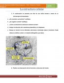 La estructura celular