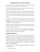 Arquitectura EL RENACIMIENTO: ITALIA ESTABLECE UN MODELO