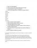 ¿Qué es la diversidad lingüística?