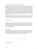 ¿Qué aspectos tuvo en cuenta al escoger la organización solidaria?