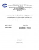 Estrategias para Motivar a los Trabajadores y Trabajadoras en el Desempeño Laboral de la Empresa ORVAL S.A, ubicada en El Sombrero Municipio Julián Mellado, Estado Guárico