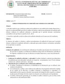 NORMA INTERNACIONAL DE AUDITORÍA 500: EVIDENCIA DE AUDITORÍA