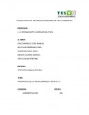 PRORRATEO DE LA MICRO-EMPRESA “KÉFIR S. A.”