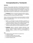 Conceptualización y Teorización