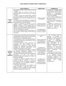 Caracteristicas y similitudes del derecho
