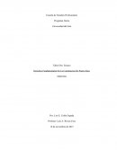 Derechos Fundamentales De La Constitución De Puerto Rico