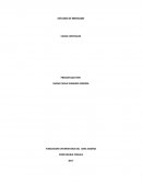 ESTUDIO DE MERCADO CASOS CONTABLES