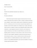 EJEMPLO INFORME COSO II